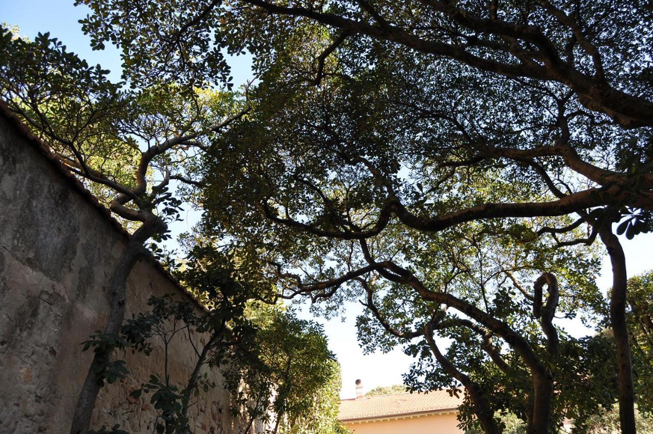 Villa Salvini Marina Di Pisa Kültér fotó