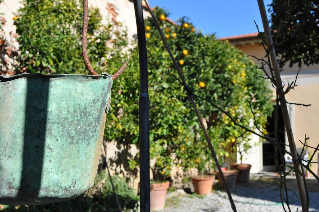 Villa Salvini Marina Di Pisa Kültér fotó