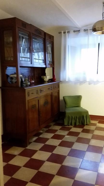 Villa Salvini Marina Di Pisa Kültér fotó