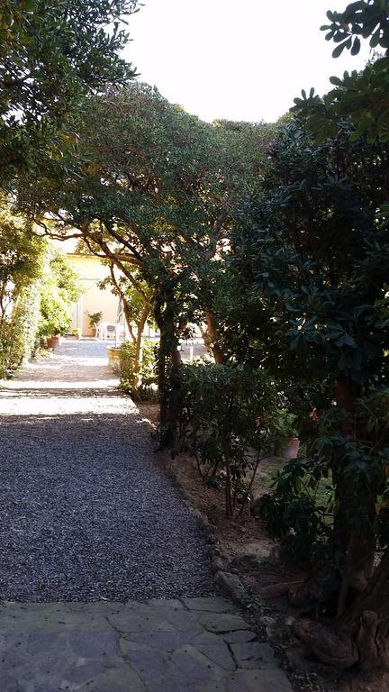 Villa Salvini Marina Di Pisa Kültér fotó