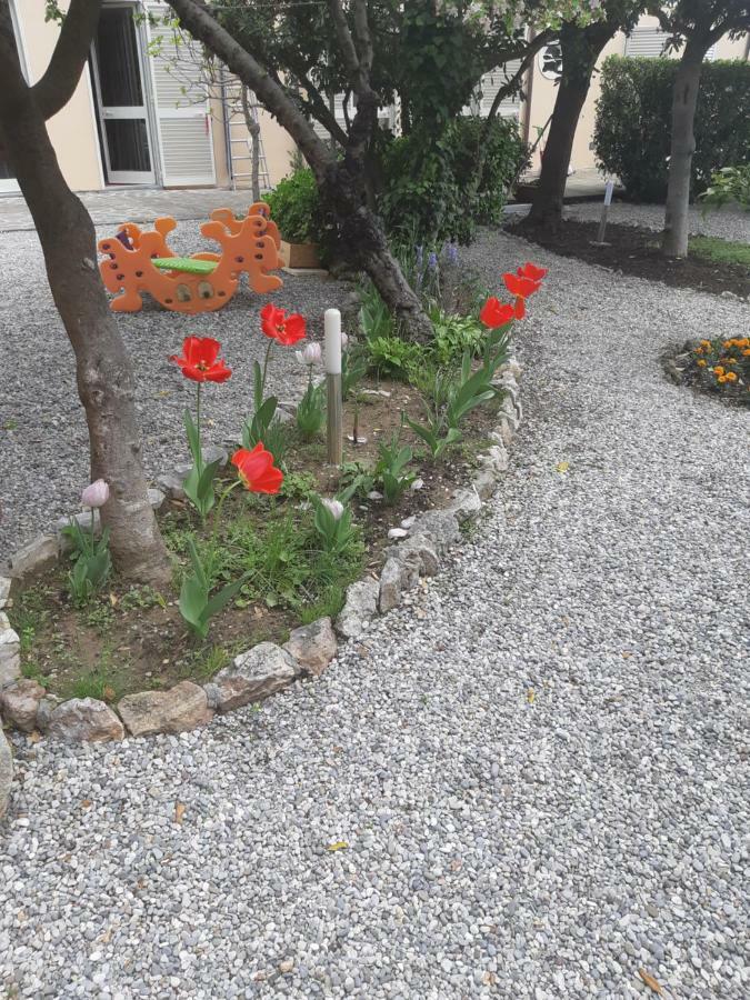 Villa Salvini Marina Di Pisa Kültér fotó